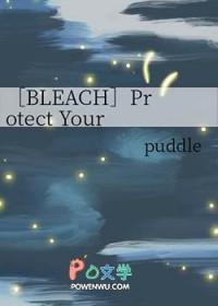 bleach同人文