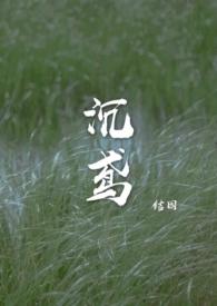 沉鸢结因txt