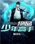 绝品少年高手十