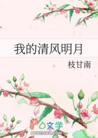 苏轼清风明月我