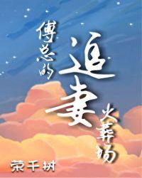 傅总的追妻火葬场免费阅读全文