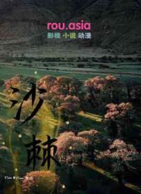 沙棘原浆的功效与主治