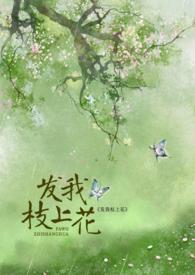 发我枝上花晋江