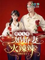 重生七零嫁二婚首长txt