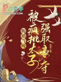被疯批太子强取豪夺讲什么