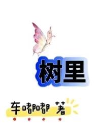 从农村包围城市(h)车嘟嘟