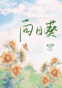 向日葵的绽放