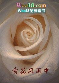 贪花风雨中大金刚笔趣阁