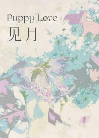 见月明是什么意思