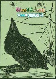 空壳公司欠款如何要回来