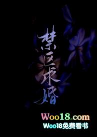 禁区全文免费阅读软件
