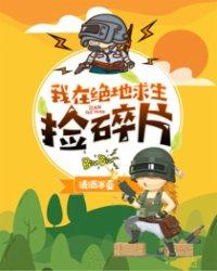 我在绝地求生捡碎片动漫在线观看