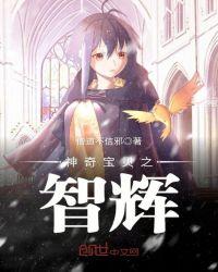 神奇宝贝之智辉免费阅读全文