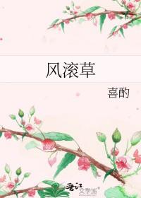 风滚草是什么植物