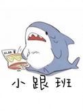 小跟班狮子狗