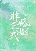 非正式婚姻全文免费阅读