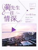 蔺先生一往情深简介