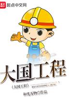 大国工程读后感300字