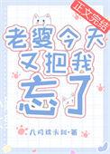 老婆今天又把我忘了 全文免费阅读