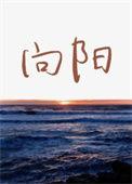 向阳而生歌词