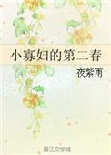小寡妇的第二春全文阅读