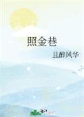照金巷且醉风华txt百度