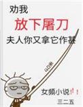 夫人你又拿它作甚顶点