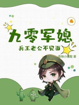 九零军媳兵王老公不见面TXT