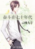 七十年代奋斗史