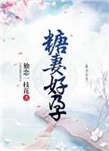 糖妻好孕盘