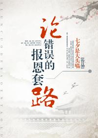 论错误的套路魔教教主txt