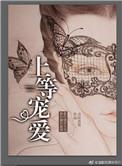 上等宠爱讲什么