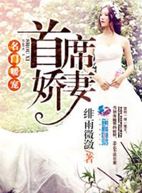 名门暖婚总裁宠妻太甜蜜全文免费阅读