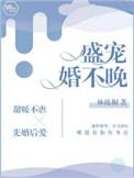 盛婚宠爱