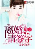 陆总离婚请签字免费阅读豪门恩怨