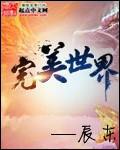 完美世界结局