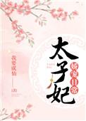 柳吟太子妃娇宠日常