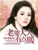 老婆大人有点暖全集