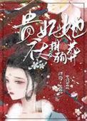贵妃不直gl