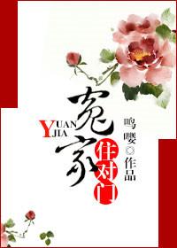 冤家住对门完整版
