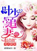 叶少宠妻不腻