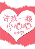 许我一颗小心心txt持尘