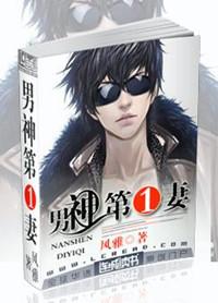 28. 男神第一妻 作者风雅