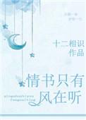 情书只有风在听简介