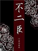不二臣讲的什么故事