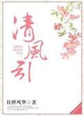 清风引且醉风华txt