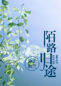 陌路归途骗短剧全集免费观看