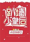 趴墙小皇后晋江