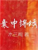 囊中锦绣讲什么