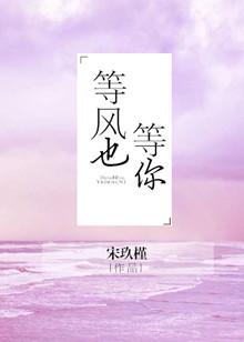 等风也等你电视剧在线观看